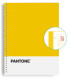 BLOC ESCOL.PANTONE A4 BASIC 80h 5x5 AM