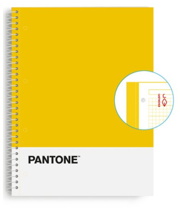 BLOC ESCOL.PANTONE A4 BASIC 80h 5x5 AM