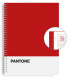 BLOC ESCOL.PANTONE A4 BASIC 80h 5x5 RJ
