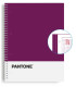 BLOC ESCOL.PANTONE A4 BASIC 80h 5x5 VL