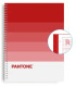 BLOC ESCOL.PANTONE A4 SPEAKS 80h 5x5 PS