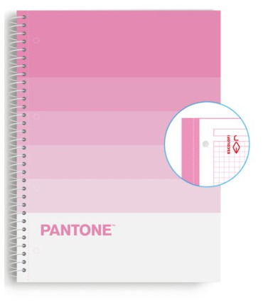 BLOC ESCOL.PANTONE A4 SPEAKS 80h 5x5 SW