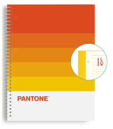 BLOC ESCOL.PANTONE A4 SPEAKS 80h 5x5 WR