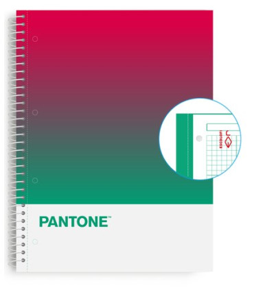 BLOC ESCOL.PANTONE A4 TOGET. 80h 5x5 SS