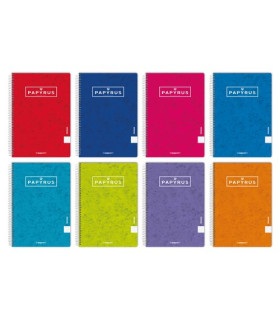 BLOC PAPYRUS t.EXTRA Fº 80h HZ COL.SURT.