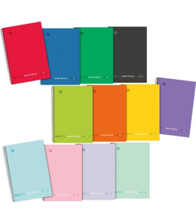BLOC PAPYRUS UNICLAS Fº 80h CD.4 SURT.V