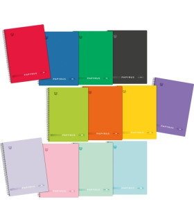 BLOC PAPYRUS UNI5 A4+ 120h CD.5 SURT.V