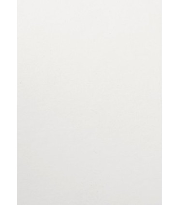 BOLSA PAPEL TV CEL. 14x9 BLANCO P/25