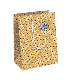 BOLSA PAPEL KRAFT  25x22 CITRICOS P/6