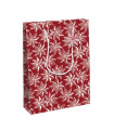 BOLSA PAPEL KRAFT  33x26 CITRICOS P/6