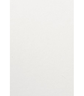 BOLSA PAPEL TV CEL. 20x28 BLANCO P/25