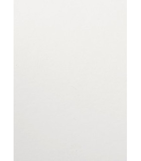 BOLSA PAPEL TV CEL. 20x28 BLANCO P/25