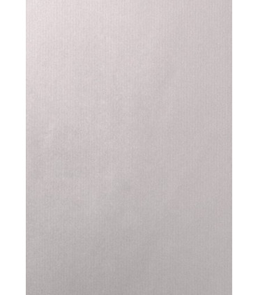 BOLSA PAPEL TV CEL. 22x32 PLATA P/25