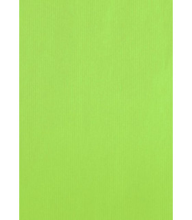 BOLSA PAPEL TV CEL. 26x35 PISTACHO P/25