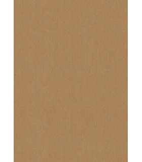 BOLSA PAPEL TV KRAFT 14x9 KRAFT P/25