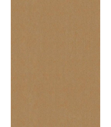 BOLSA PAPEL TV KRAFT 14x9 KRAFT P/25