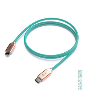 CABLE USB-C - LIGHTNING APPLE MARINE