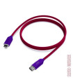 CABLE USB-C - LIGHTNING APPLE RED WINE