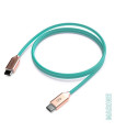 CABLE USB-C - USB-C APPLE 1 m. MARINE