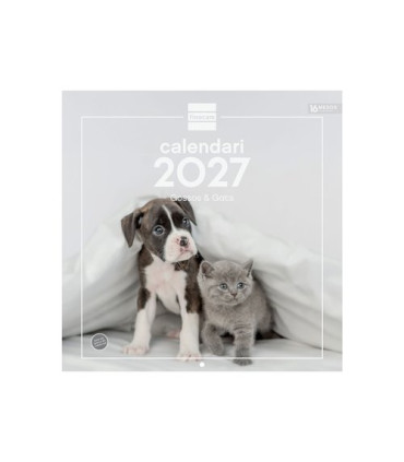 CAL.FIN.CAT. PARET 300x300 GOSSOS I GATS