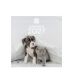 CAL.FIN.CAT. PARET 300x300 GOSSOS I GATS