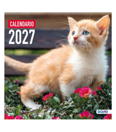 CAL.DOHE PARED MES 300x300 GATOS