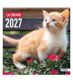 CAL.DOHE PARED MES 300x300 GATOS