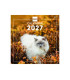 CAL.FIN. INT. PARED 180x180 CATS
