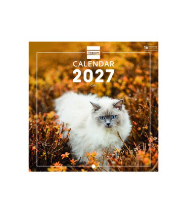 CAL.FIN. INT. PARED 180x180 CATS