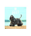 CAL.FIN. INT. PARED 180x180 DOGS
