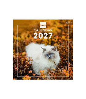 CAL.FIN. INT. PARED 300x300 CATS