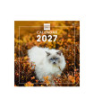 CAL.FIN. INT. PARED 300x300 CATS
