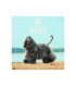 CAL.FIN. INT. PARED 300x300 DOGS