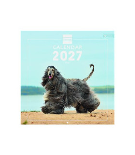 CAL.FIN. INT. PARED 300x300 DOGS