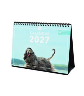 CAL.FIN. INT. SOBR. 210x150 DOGS