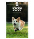 CAL.FIN. PARED 250x400 CACHORROS