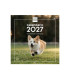 CAL.FIN. PARED 300x300 CACHORROS