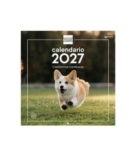 CAL.FIN. PARED 300x300 CACHORROS