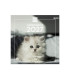 CAL.FIN. PARED 300x300 GATITOS