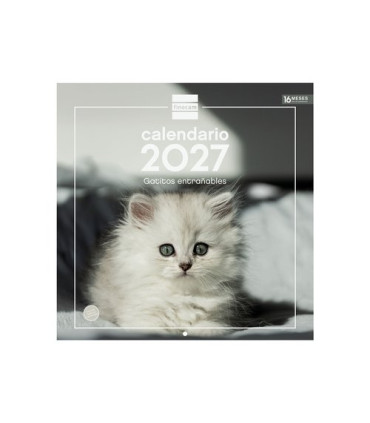 CAL.FIN. PARED 300x300 GATITOS