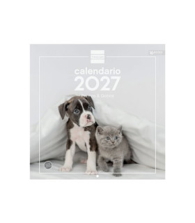 CAL.FIN. PARED 300x300 PERROS Y GATOS