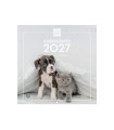 CAL.FIN. PARED 300x300 PERROS Y GATOS