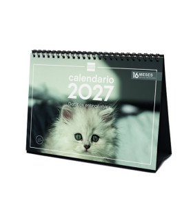 CAL.FIN. SOBR. 210x150 GATITOS