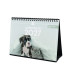 CAL.FIN. SOBR. 210x150 PERROS Y GATOS