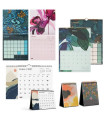 CAL.MR. TRENDS LOTE 24