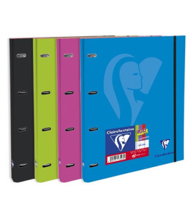 CARPEBLOC CLAIREFONTAINE A4 4AN.100h SUR