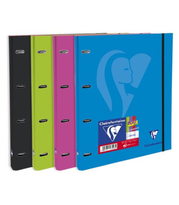 CARPEBLOC CLAIREFONTAINE A4 4AN.100h SUR