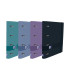 CARPEBLOC OXFORD A4 4AN.100 Hj COL.(5)