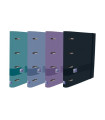 CARPEBLOC OXFORD A4 4AN.100 Hj COL.(5)