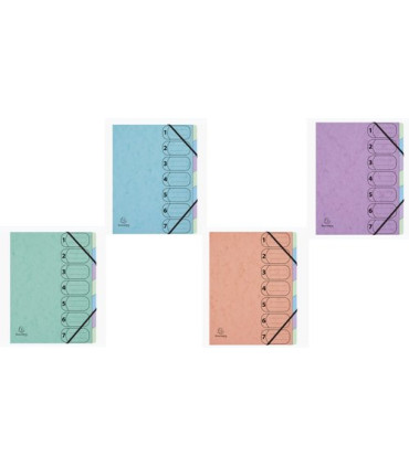 CARP.CLASIF.EXACOMPTA CART.A4+ 7 DP.SUR